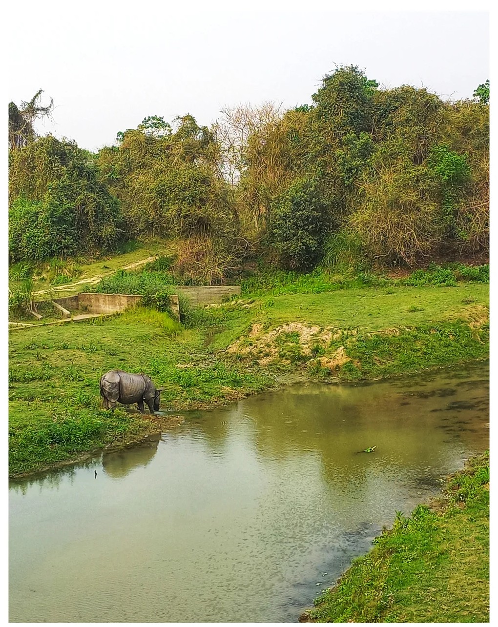 Kaziranga Tour Package