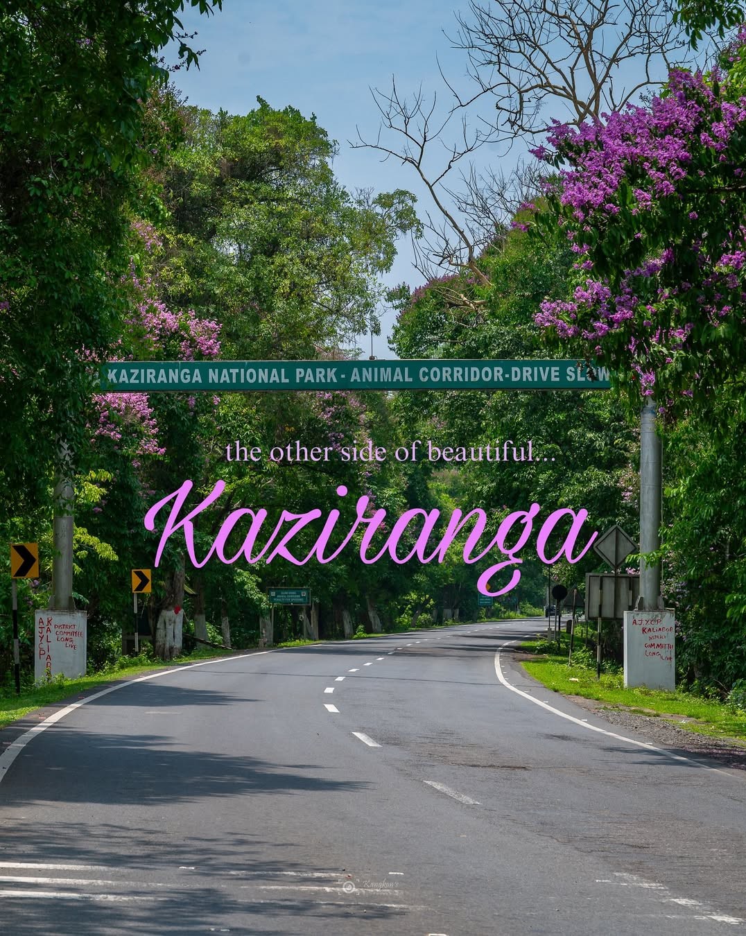 NH 37 Kaziranga National Park