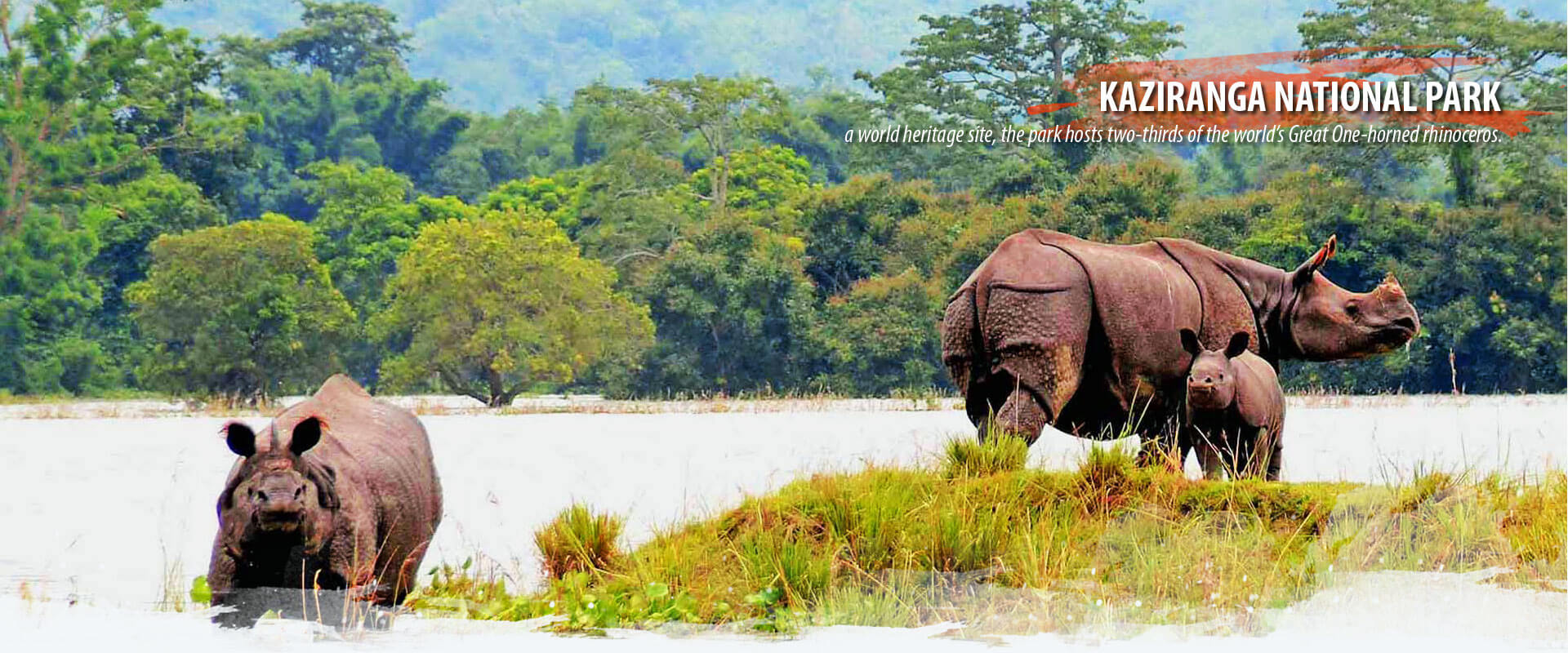 Top 10 Hidden Waterfalls in Meghalaya
