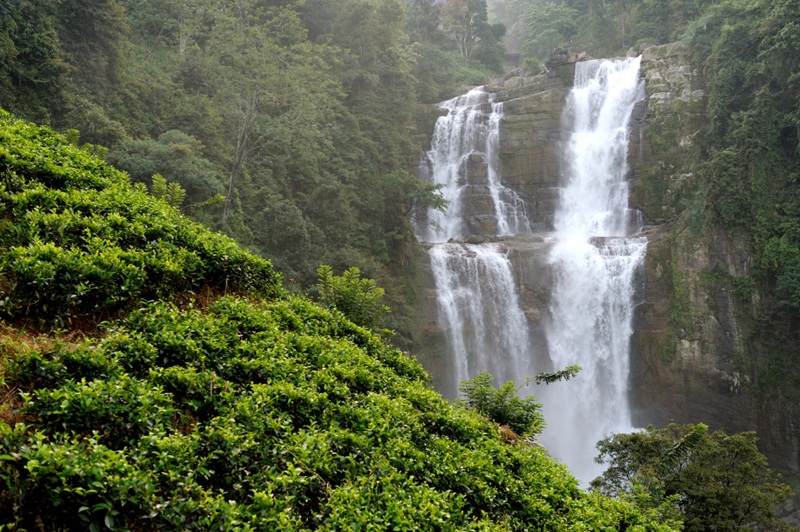 10 Best Meghalaya Waterfalls to Explore During Monsoon Season