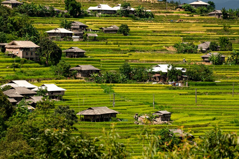 Khonoma Village Nagaland: Asia