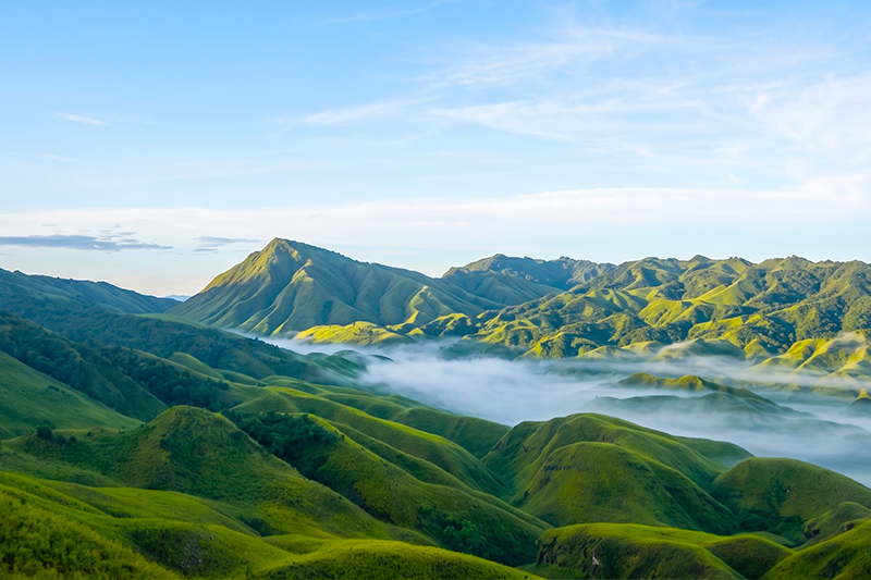 Dzukou Valley: A Piece of Heaven on Earth