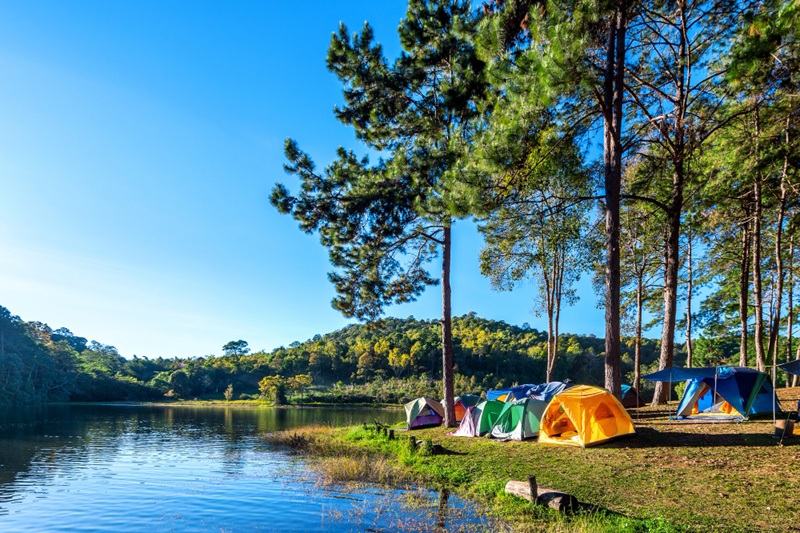 Popular Picnic Spots in Assam for a Laid-Back Day Out