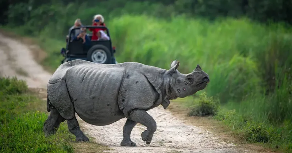 Top 7 Tourist Attractions in Assam You Must Include in Your Trip