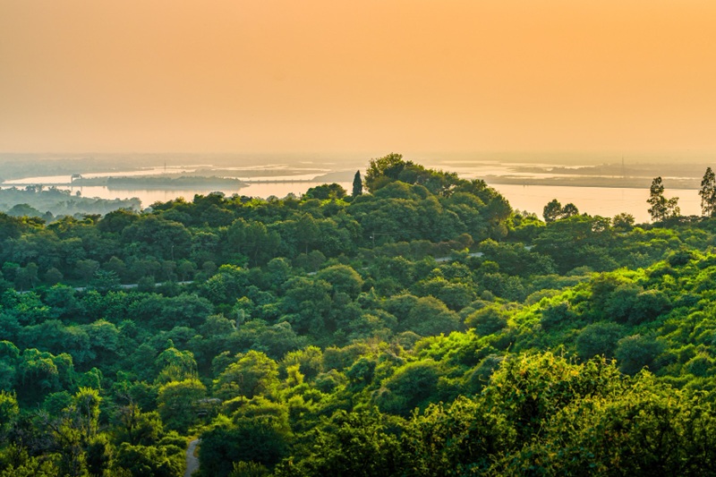 Mawphlang Sacred Forest: Folklore, Flora, and Guided Walk Etiquette