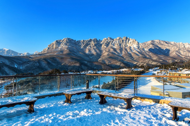 The Ultimate North Sikkim Bucket List: 10 Must-See Tourist Destinations